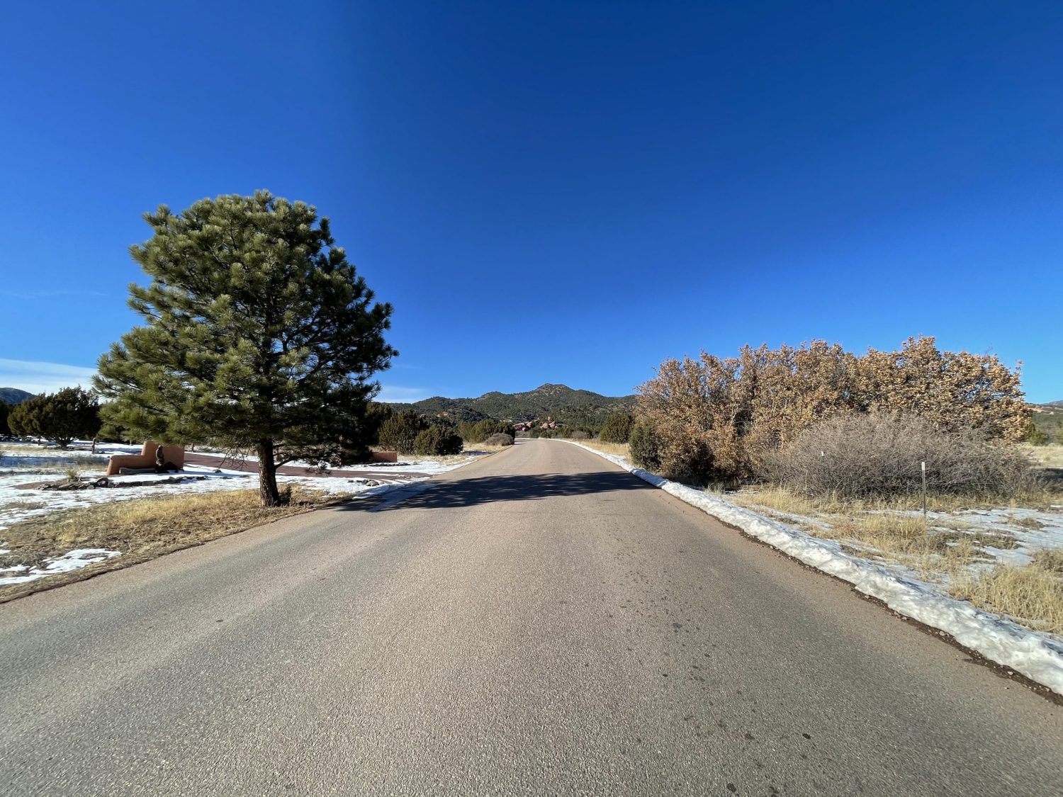 A paved ranch road curving through ponderosa pine and scrub oak, with late snow holding on the shaded shoulder.