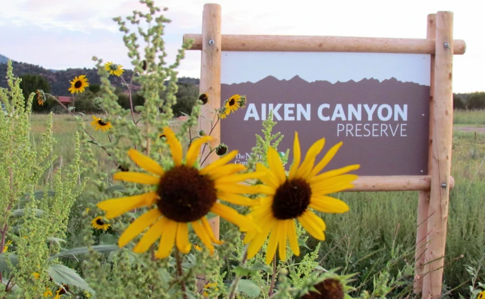 The Aiken Canyon Preserve sign set among sunflowers at the preserve entrance.