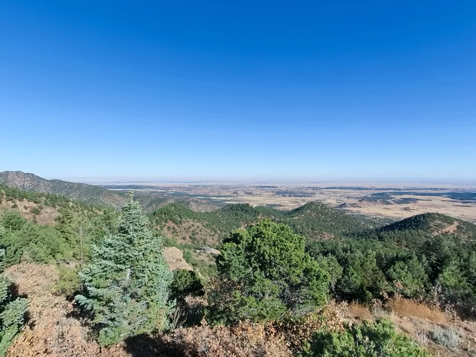Sweeping view of forested ridges falling away toward the plains, seen from an overlook near the top of the Ranch.